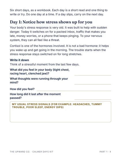 Day 1: how stress shows up for you page from the kit