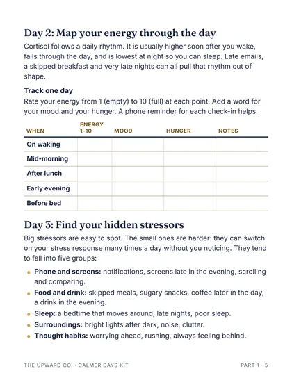Day 2: map your energy page from the kit