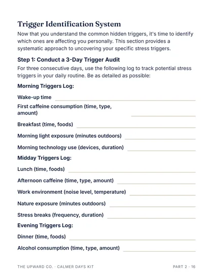 The 3-day trigger audit page from the kit